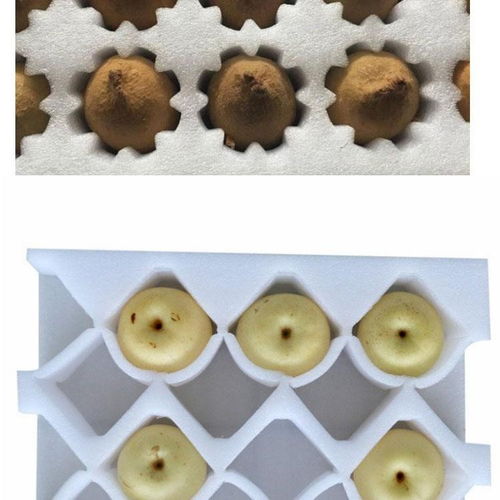 浏阳异形材珍珠棉现货供应 解析塑料异型的多样化应用与品质保障